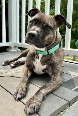Audrey