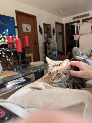 Calista- (must be adopted with Snap)