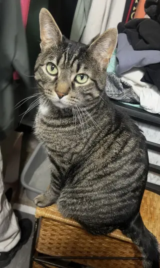 Roberto