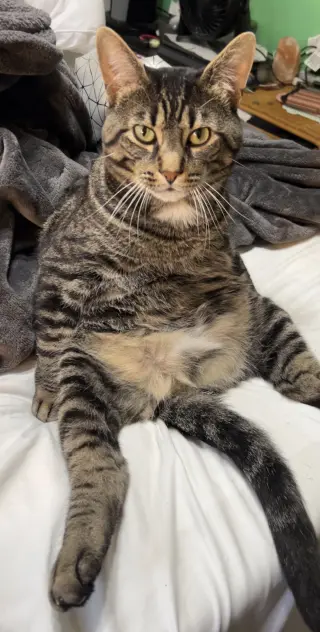 Roberto