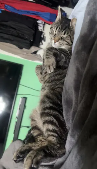 Roberto