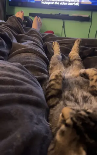 Roberto