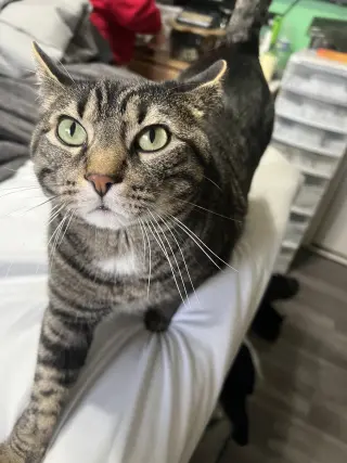 Roberto