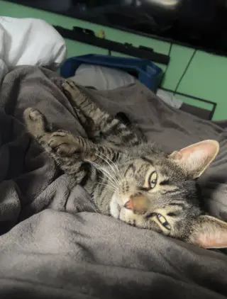 Roberto