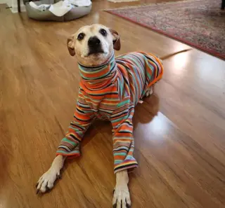 Meeko
