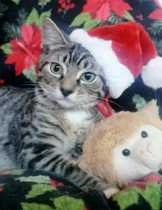 Christopher