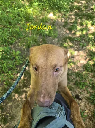 Jordan