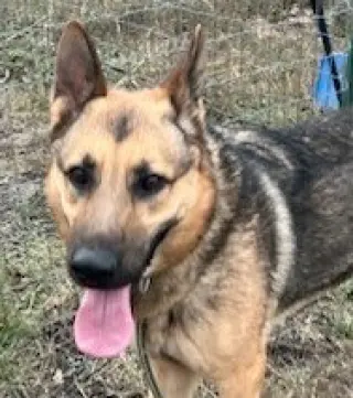 Axle
