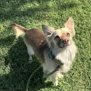 Robert