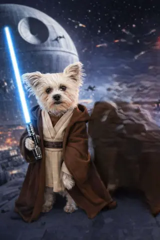 Yoda