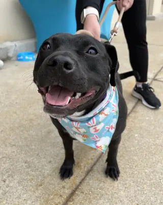 Pru (special needs)