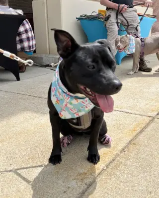 Pru (special needs)