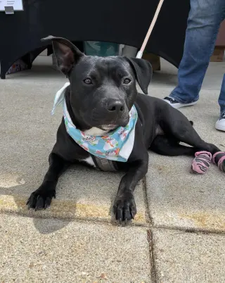 Pru (special needs)