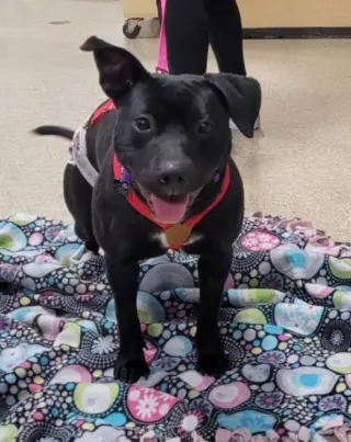 Pru (special needs)