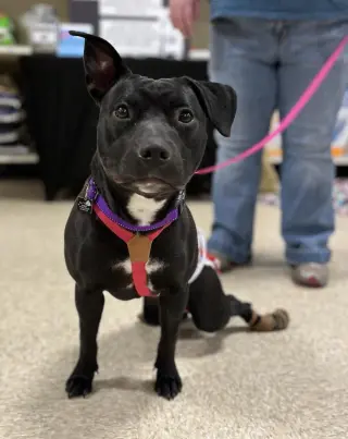 Pru (special needs)