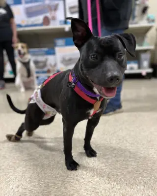 Pru (special needs)