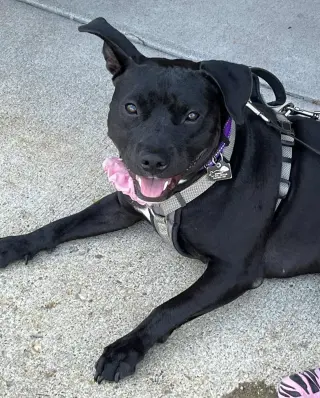 Pru (special needs)