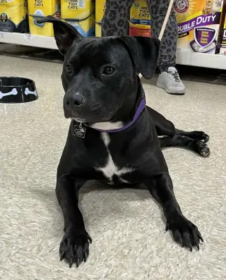 Pru (special needs)