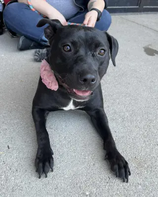 Pru (special needs)