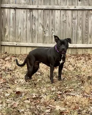 Pru (special needs)