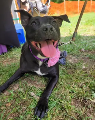 Pru (special needs)