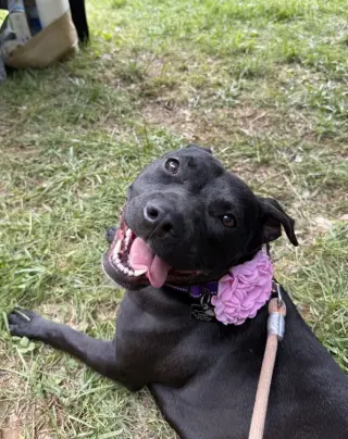 Pru (special needs)