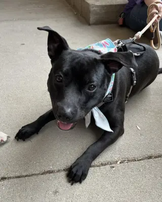 Pru (special needs)