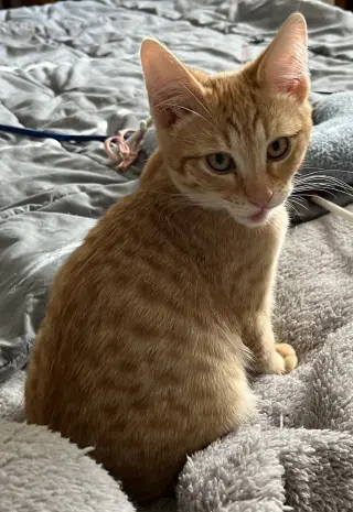 Rusty