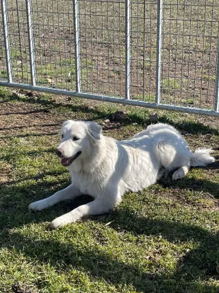 Mr Yuki