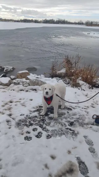 Mr Yuki