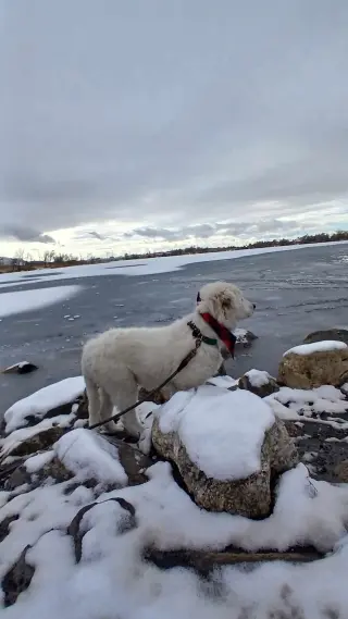 Mr Yuki