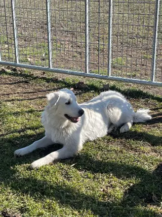 Mr Yuki