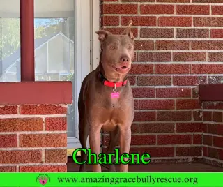 Charlene (Char)