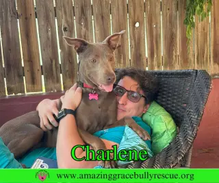 Charlene (Char)
