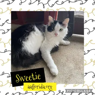 Sweetie *Cyd