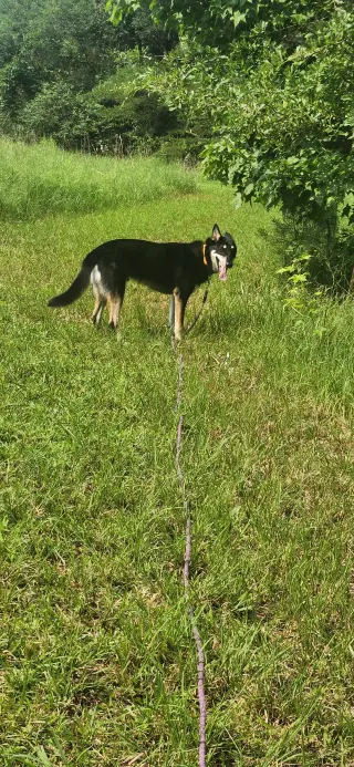 Ralphie/Max