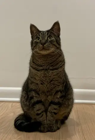 Luca