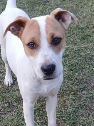 Cheyenne