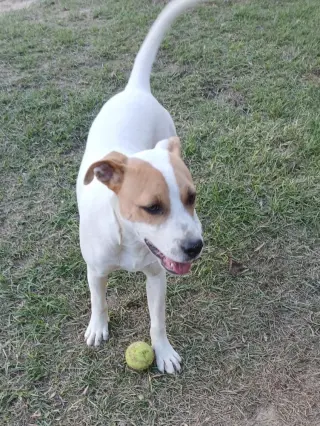 Cheyenne