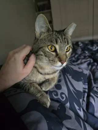 Luna