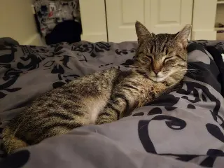 Luna
