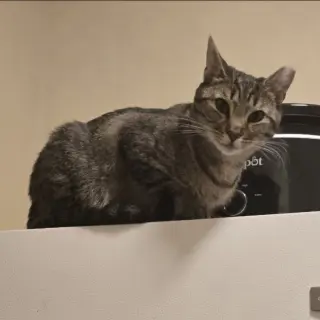 Luna