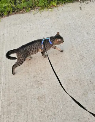 Luna