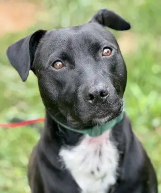 Marley