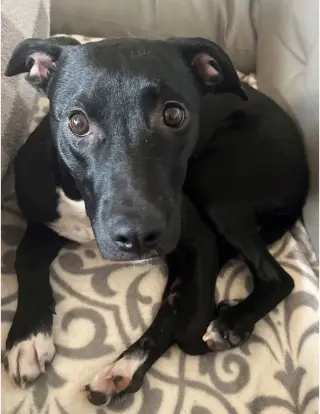 Marley