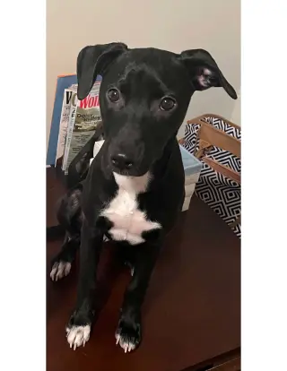 Marley