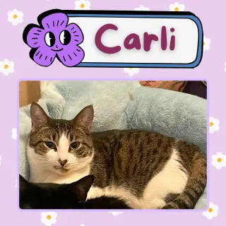 Carlie