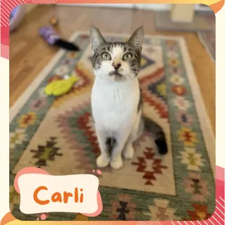 Carlie