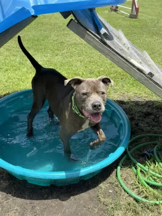 Maggie