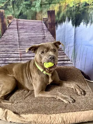 Maggie